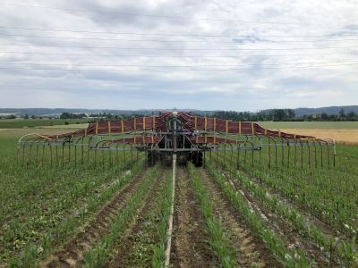 Gülle verschlauchen auf dem Feld